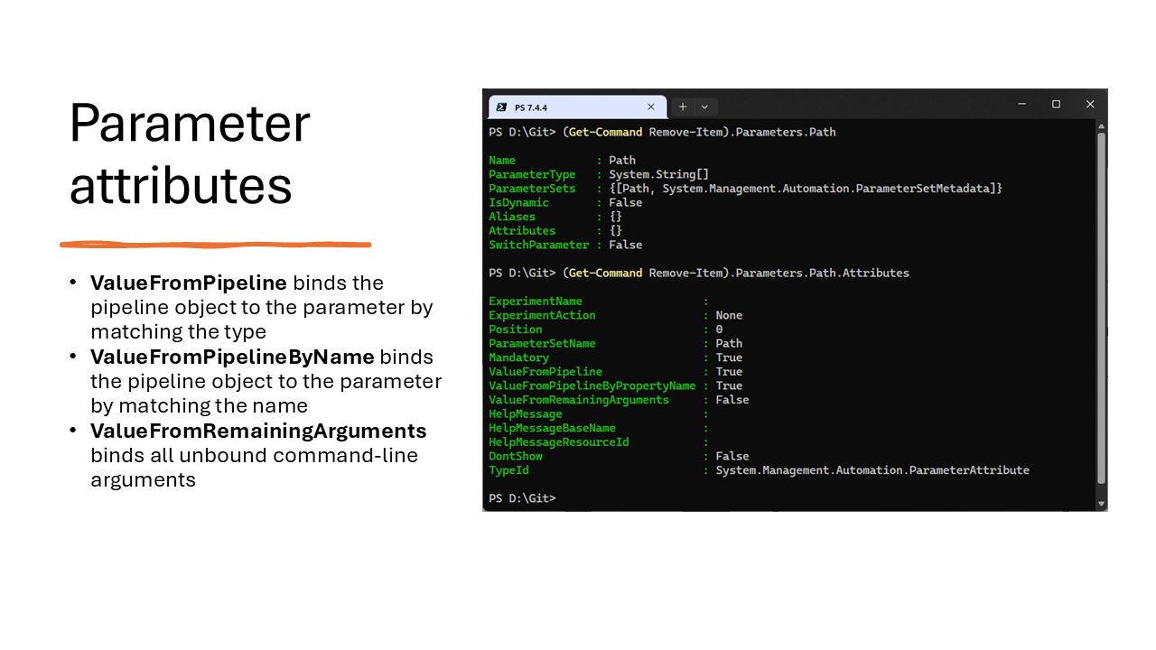 Parameter attributes